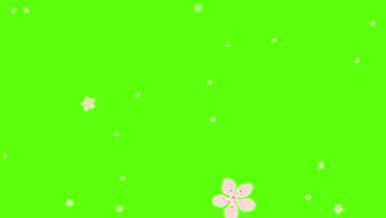 绿幕粒子花瓣素材视频的预览图